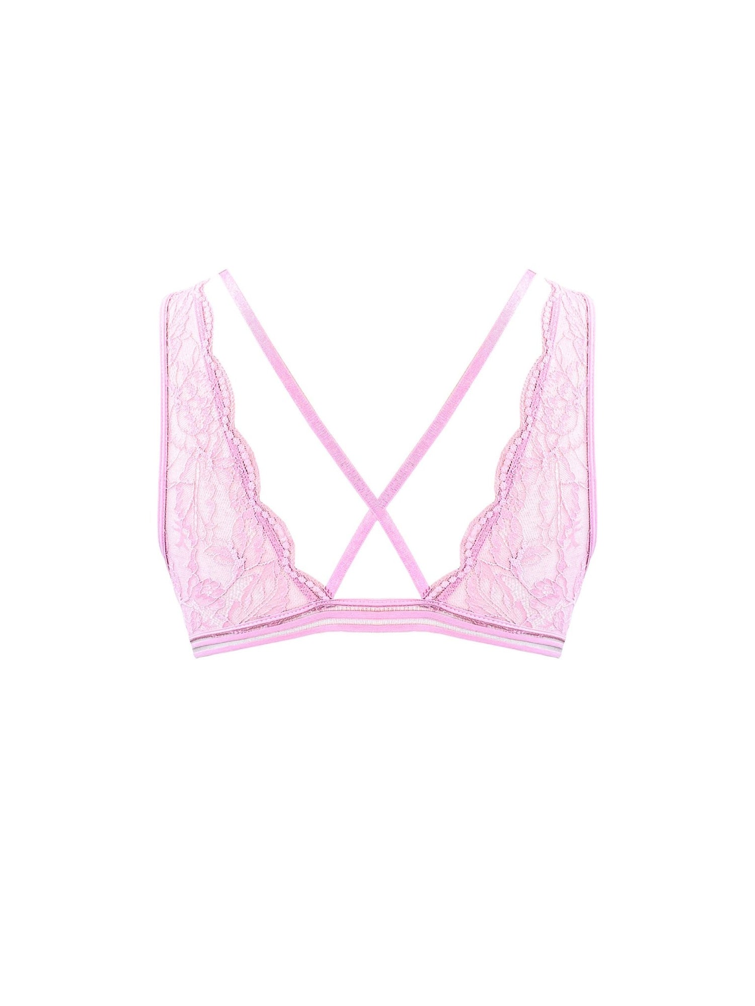 Gladys 三角杯 - Sugar8